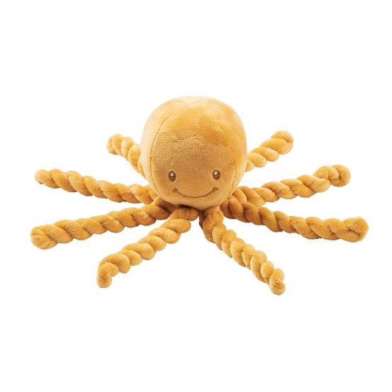 Octopus poulpe ocre