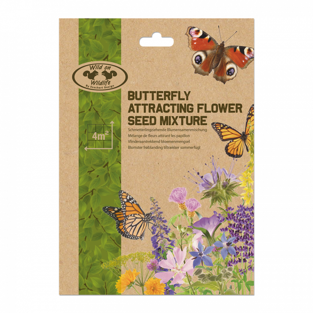 Mélange de fleurs pour attirer les papillons semence pour 4 m².