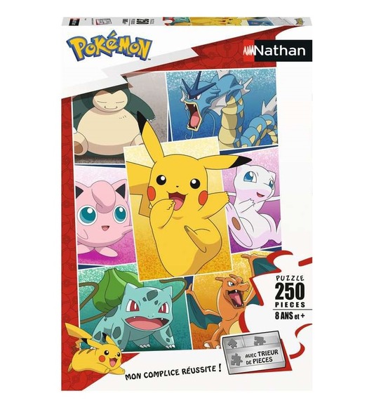 Puzzle types de pokémon 250 pcs