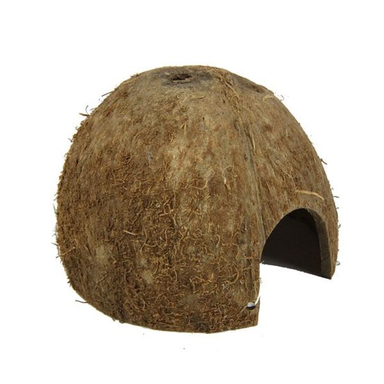Cocos cava 1/2 medium grotte en noix de coco