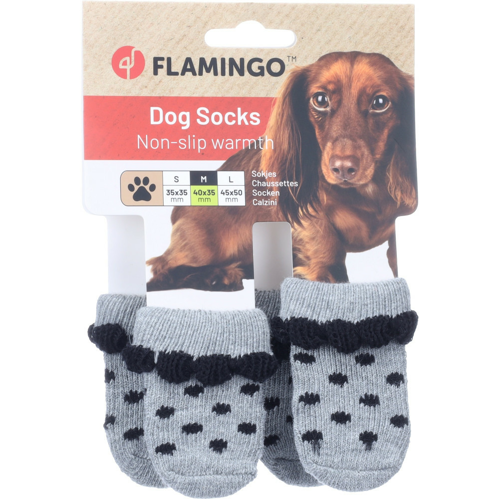 Chaussettes asia taille m 4 pièces grise pour chien