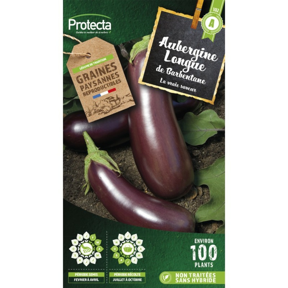 Graines paysannes - aubergine violette de barbentane