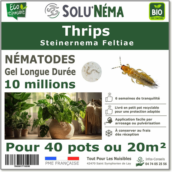 Solunéma - Thrips - Traitement à base de nématodes Steinernema Feltiae (SF) - 10 millions pour 40 pots ou 20 m²