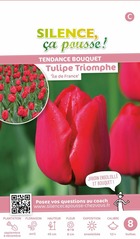Tulipe triomphe ile de france 12/+ x8 bulbes