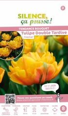 Tulipe double tardive freeman 12/+ x8 bulbes