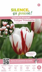 Tulipe triomphe happy generation 12/+ x8 bulbes