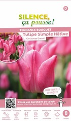 Tulipe simple hative christmas dream 12/+ x8 bulbes