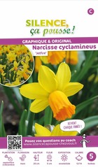 Narcisse cyclamineus jetfire 12/14 x5 bulbes