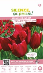 Tulipe pluriflore red georgette 12/+ x8 bulbes