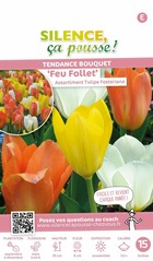 Assortiment tulipe fosteriana feu follet 12/+ x15 bulbes