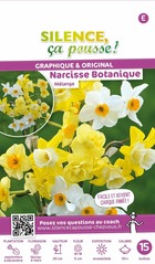 Narcisse botanique melange 10/+ x15 bulbes