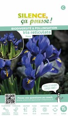 Iris reticulata pixie 5/6 x15 bulbes