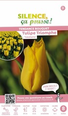 Tulipe triomphe yokohama 12/+ x8 bulbes