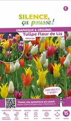 Tulipe fleur de lis melange 11/12 x15 bulbes