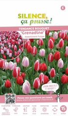 Assortiment tulipe grenadine 12/+ x15 bulbes