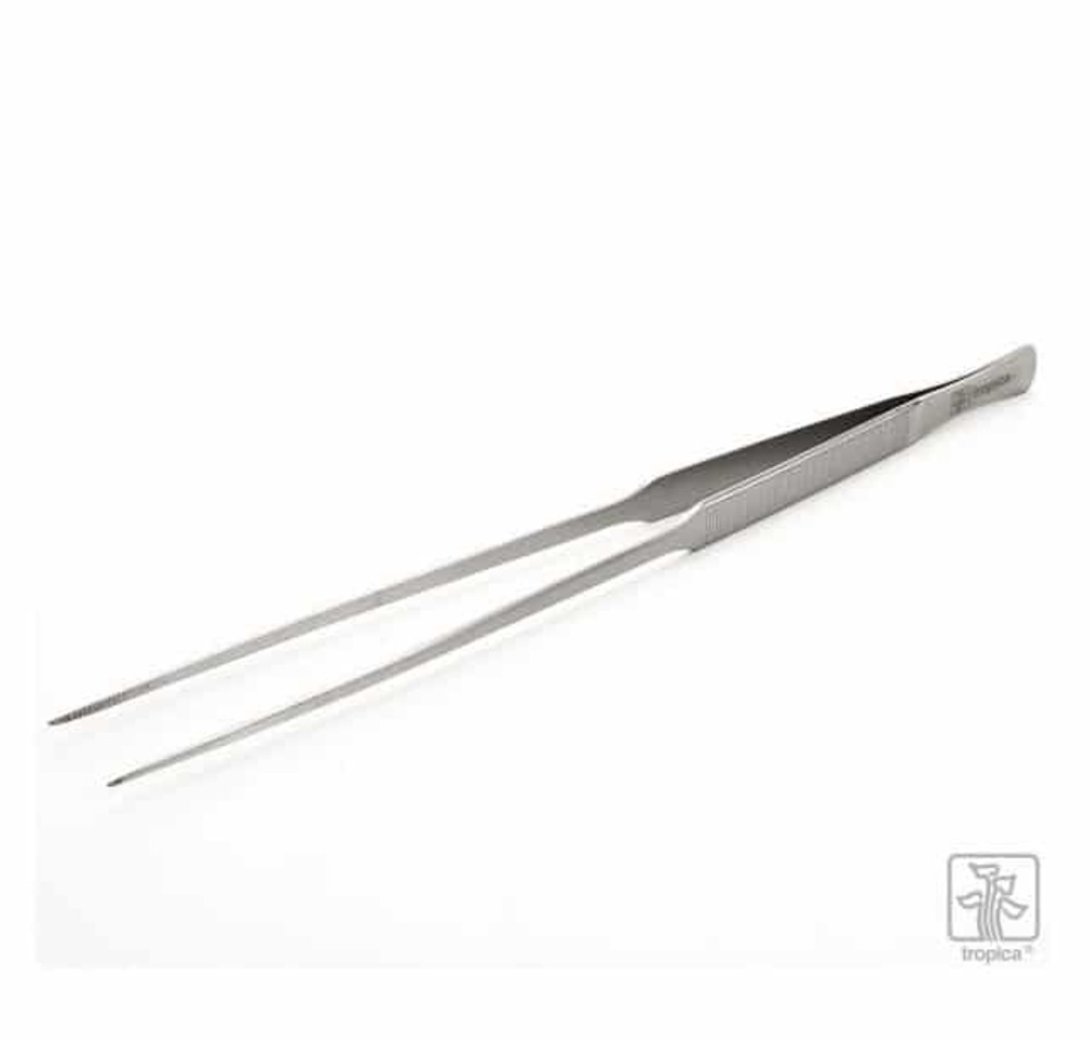 Tweezers pince pour plantes