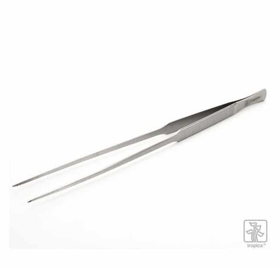 Tweezers pince pour plantes