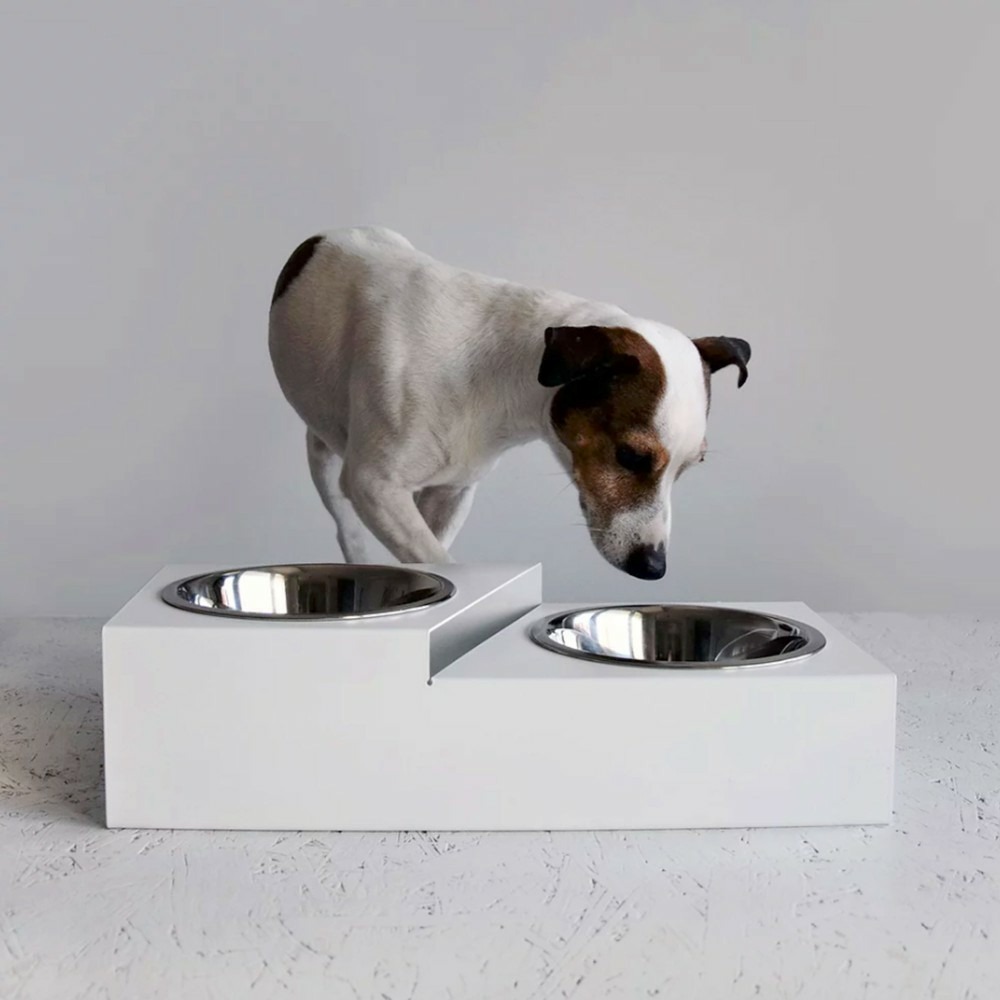 Gora - set de 2 gamelles chien surélevées en acier, socle étage en métal blanc
