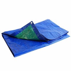 Bâche de protection imperméable 6x10 m - tecplast 150mu - bleue et verte