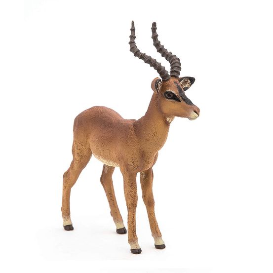 Impala