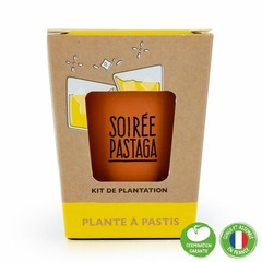 Kit "soirée pastaga " graines d'anis à semer