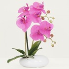 Orchidées artificielles toucher naturel 35cm