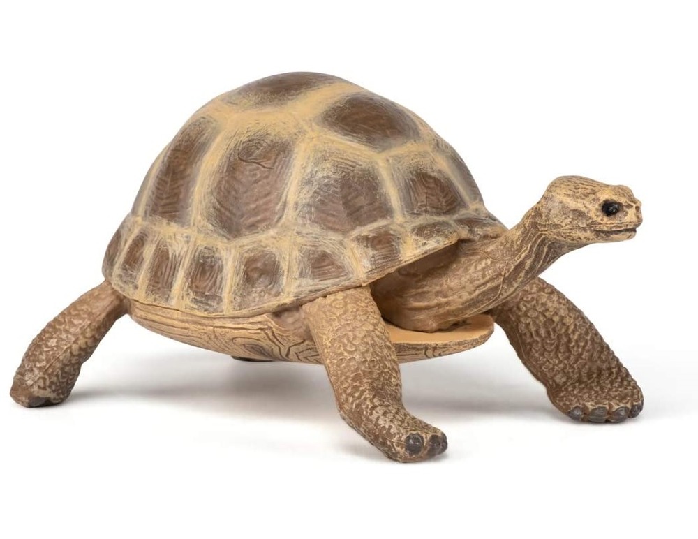 Figurine tortue d'hermann