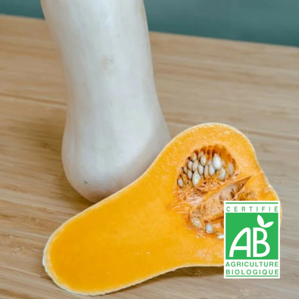 Graines de courge butternut waltham butternut - sans traitement - vilmorin sachet
