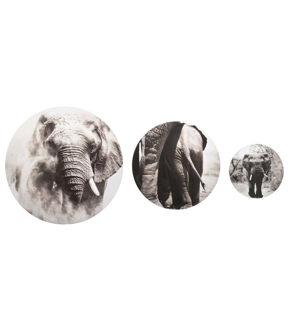 Set de 3 toiles murales imprimées éléphant d 20 - 30 et 40 cm