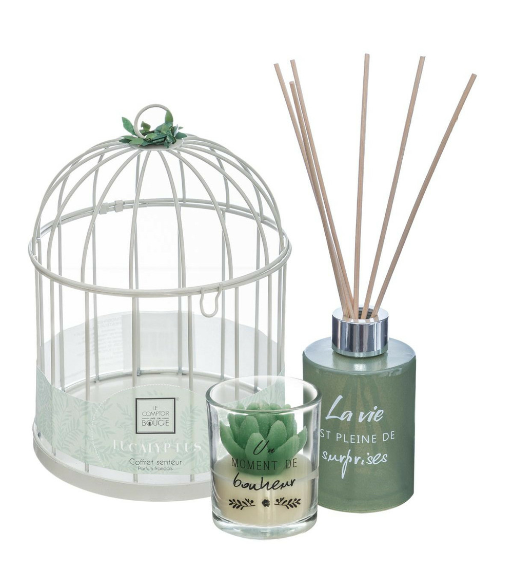 Coffret senteur eucalyptus zen cage en métal , diffuseur de parfum et bougie