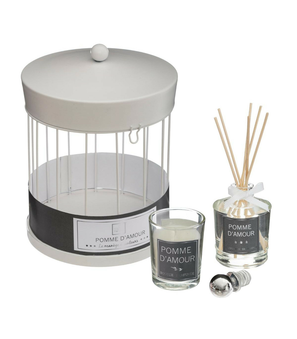 Coffret senteur 1 diffuseur de parfum 6 bâtonnets 1 bougie parfumée