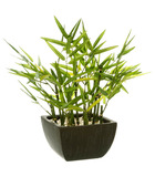 Plante artificielle bambou en pot h 35 cm