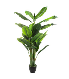 Plante artificielle bananier en pot h 170 cm