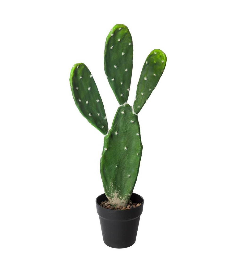 Plante artificielle cactus en pot h 60 cm Truffaut