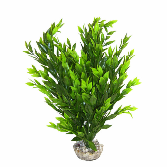 Décor d'aquarium : buisson plante vert