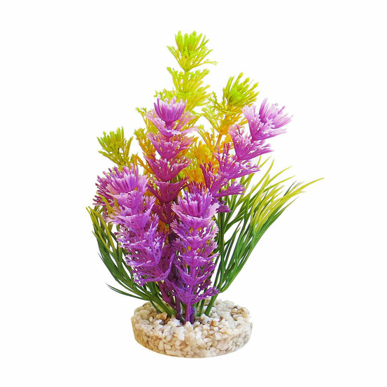 Décoration d'aquarium: magic fiesta colours h. 16 cm
