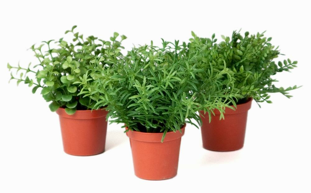 Herbes artificielles variÃ©es assorties en pot