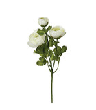 Fleur artificielle tige renoncule blanche h 60 cm
