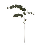 Fleur artificielle tige eucalyptus h 118 cm