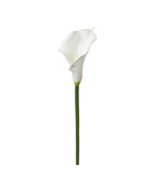 Fleur artificielle tige arum blanc h 75 cm