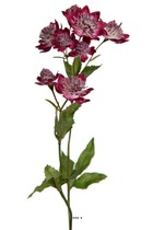 Astrance fleur factice h50cm 8 fleurs 2 ramures rare mauve violet - couleur: mau