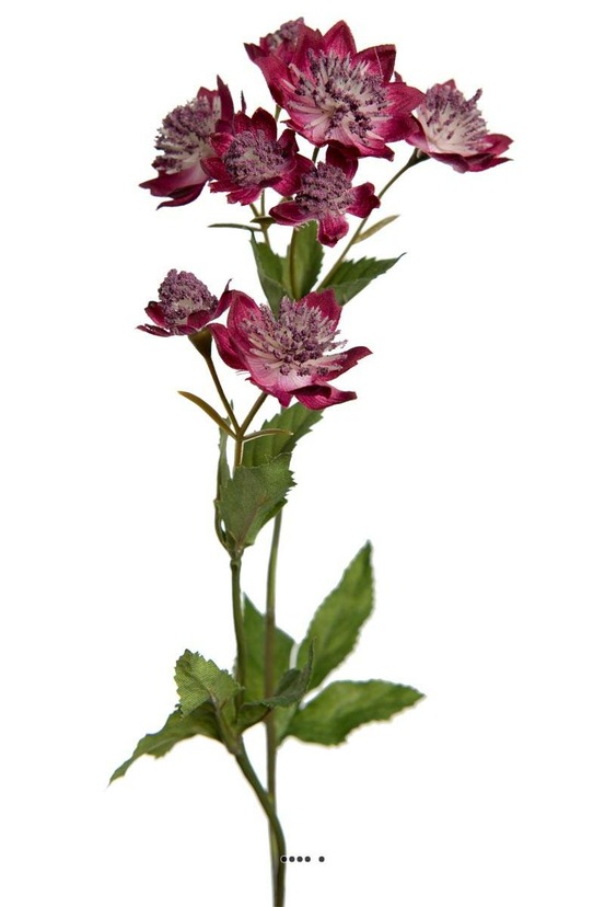 Astrance fleur artificiellel, 8 fleurs