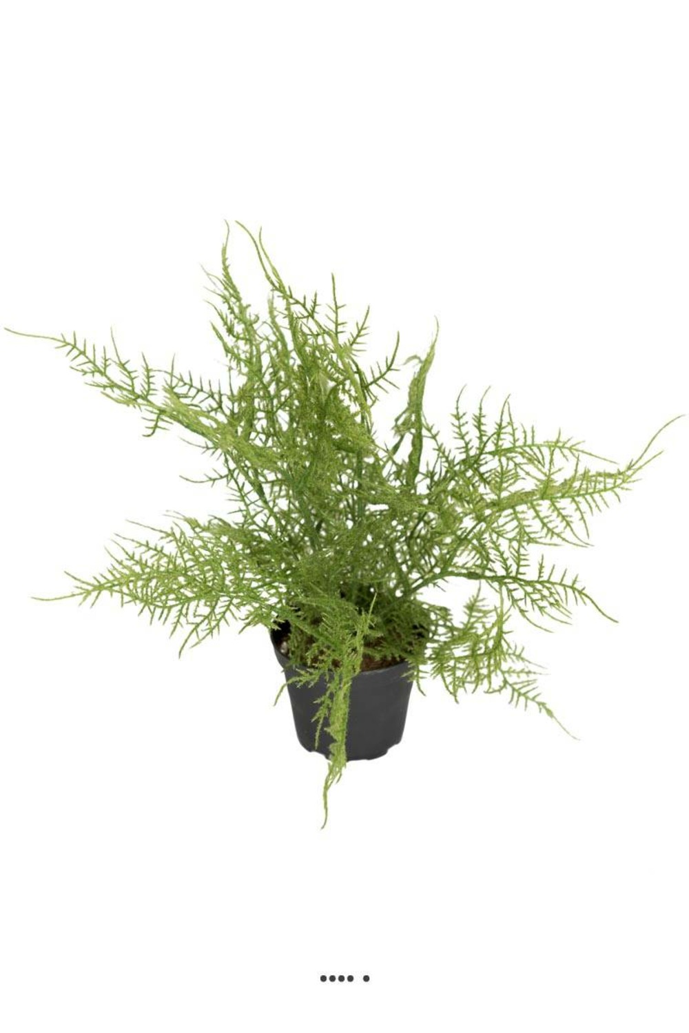 FougÃšre Plumosus artificielle en pot