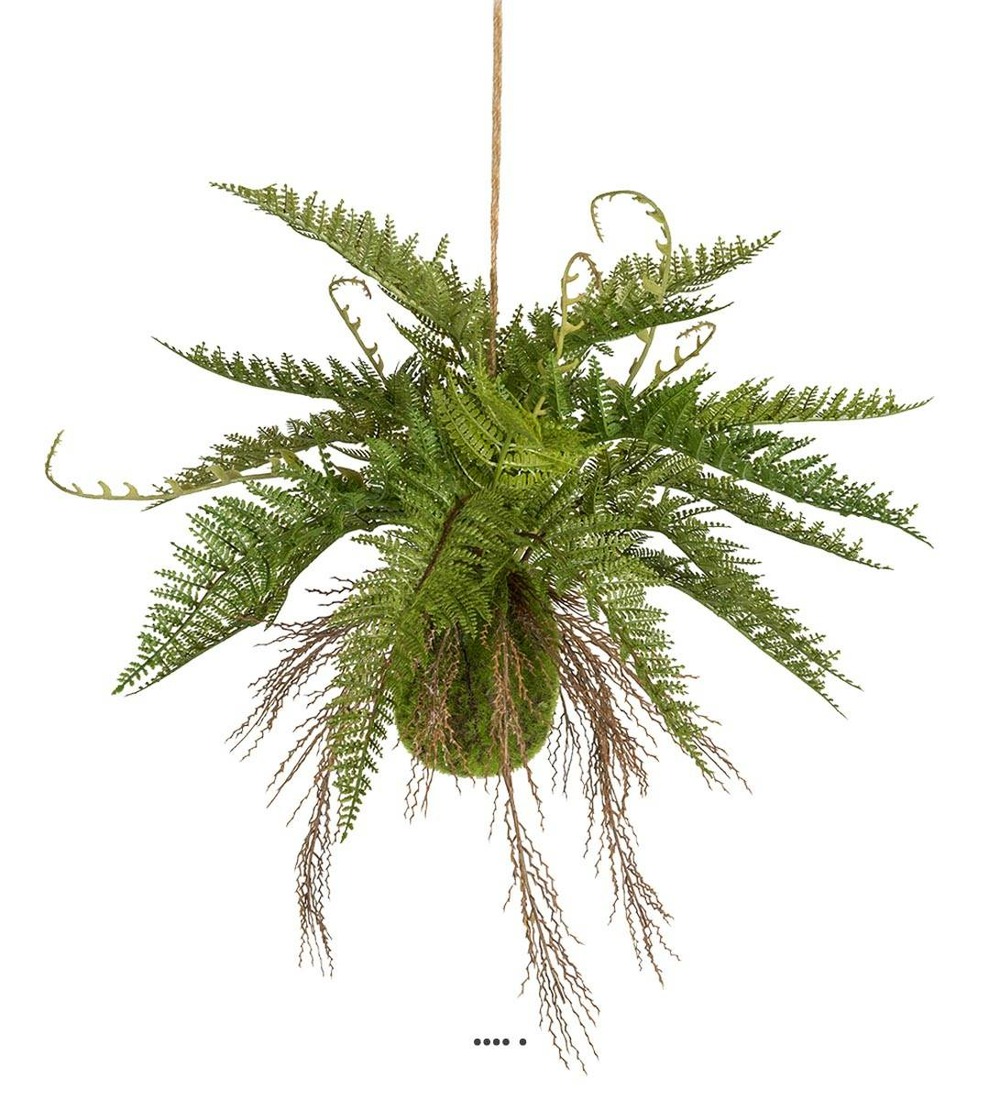 FougÃšre de Boston artificielle suspendue
