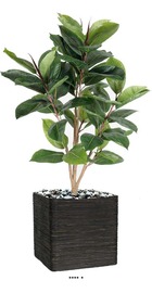 Ficus robusta artificiel tronc pe en pot beau et rare h90cm d65cm vert - dimhaut