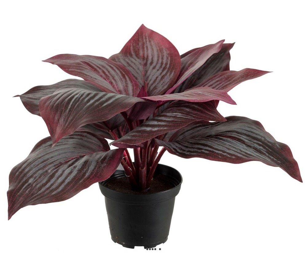 Hosta artificiel en pot, larges feuilles