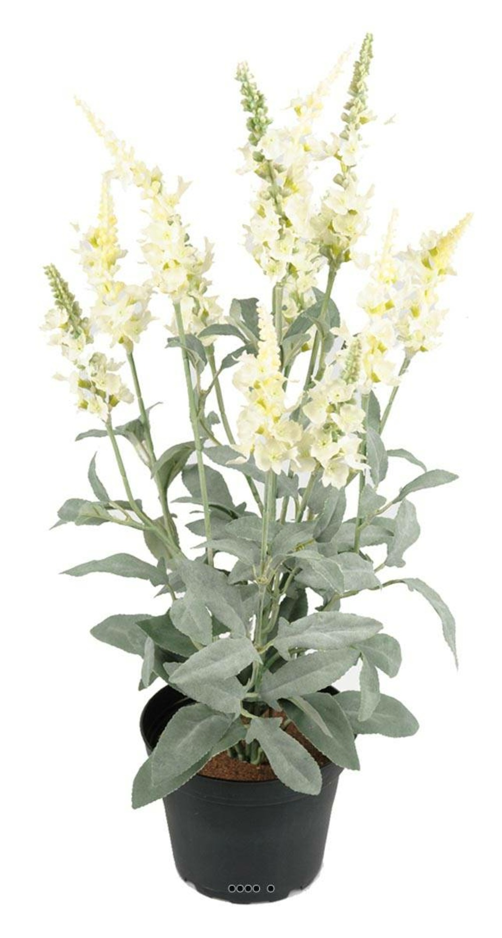 VÃ©ronique artificielles avec feuillage en pot