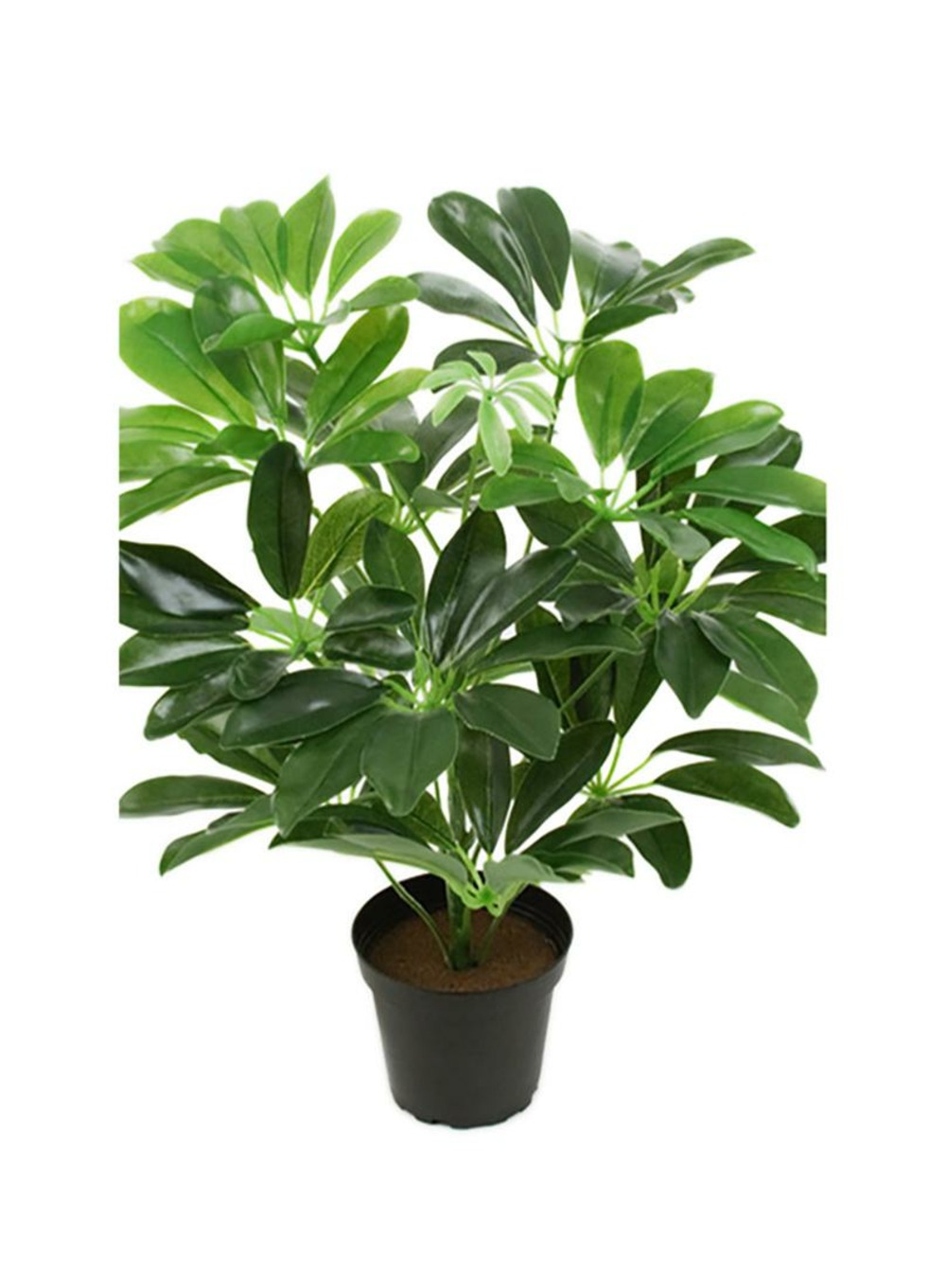 Schefflera artificiel en pot