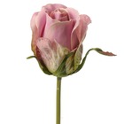 Rose eden factice h25cm rose beauty belle tête tissu d5 cm environ - couleur: ro