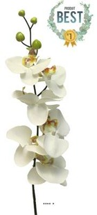 Tige d&rsquo;orchidée phalaenopsis artificielle, h 78 cm, crème - best - couleur